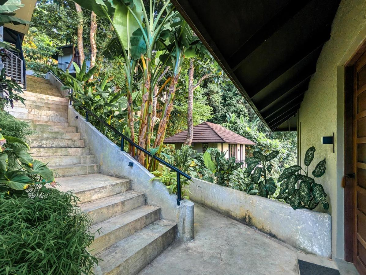 Perch El Nido'S Seaview Villas Overlooking Marimegmeg Exterior foto