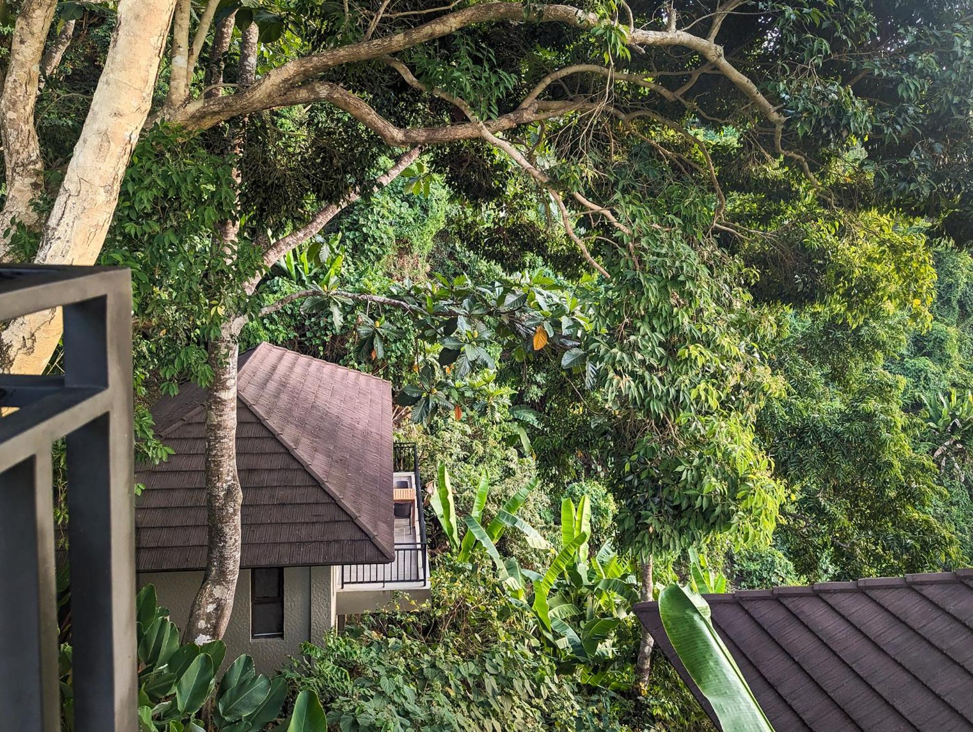 Perch El Nido'S Seaview Villas Overlooking Marimegmeg Exterior foto