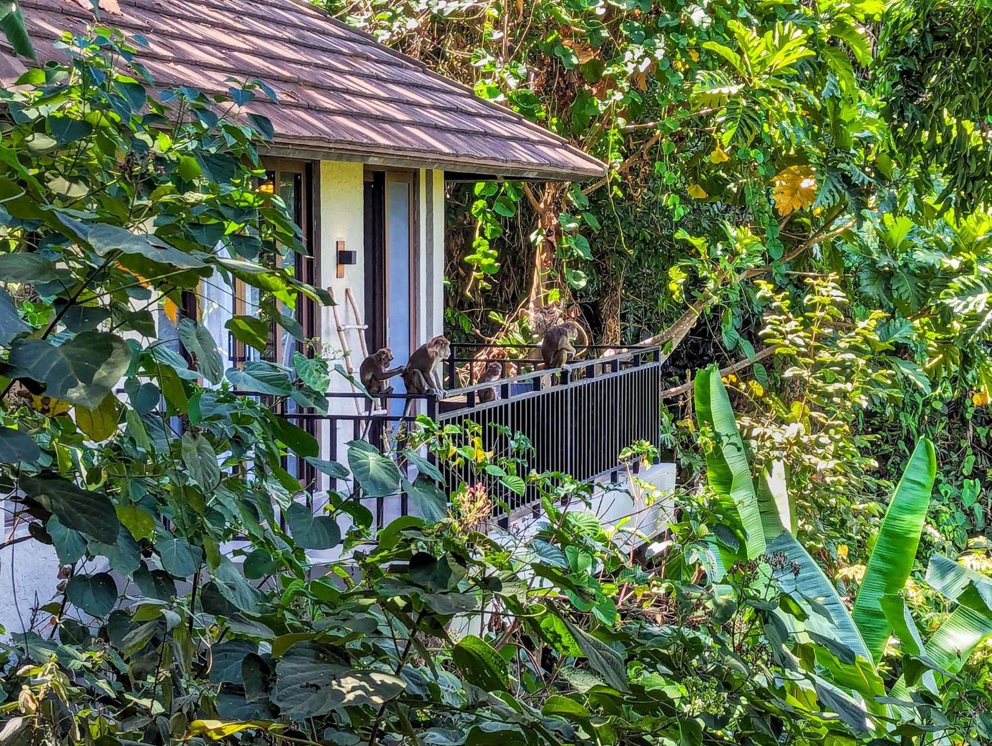 Perch El Nido'S Seaview Villas Overlooking Marimegmeg Exterior foto